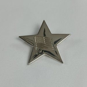 Bost Silver Plated Pin.